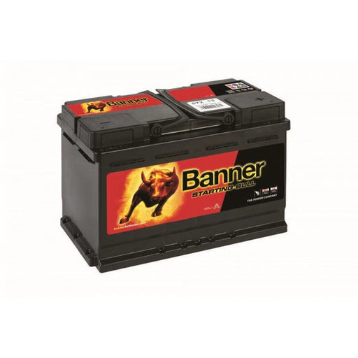 Banner 096 12V Heavy Duty Battery