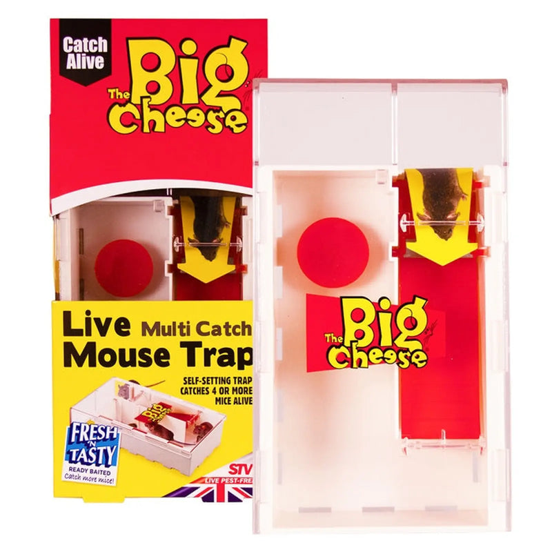 BIG CHEESE Live Multi Catch Mouse Trap