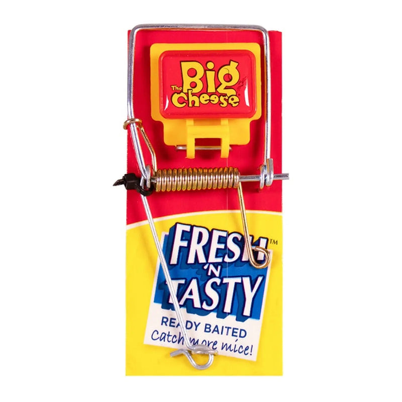 BIG CHEESE Fresh Baited Mouse Trap
