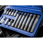BlueSpot Tools 15 Piece Hex Bit Set