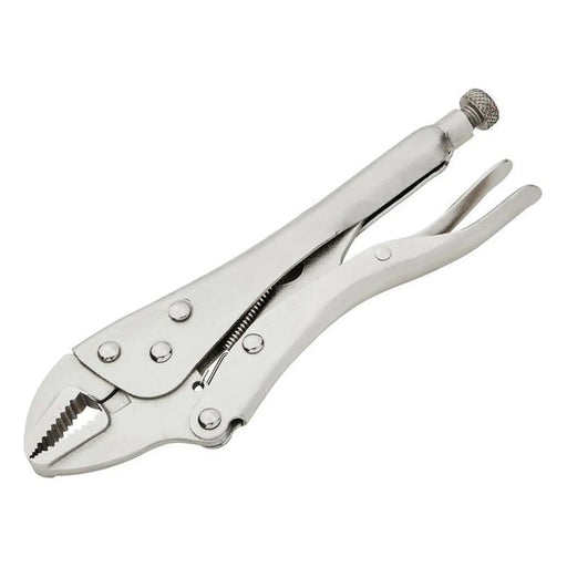 BlueSpot Tools Quick-Release Locking Pliers 250mm