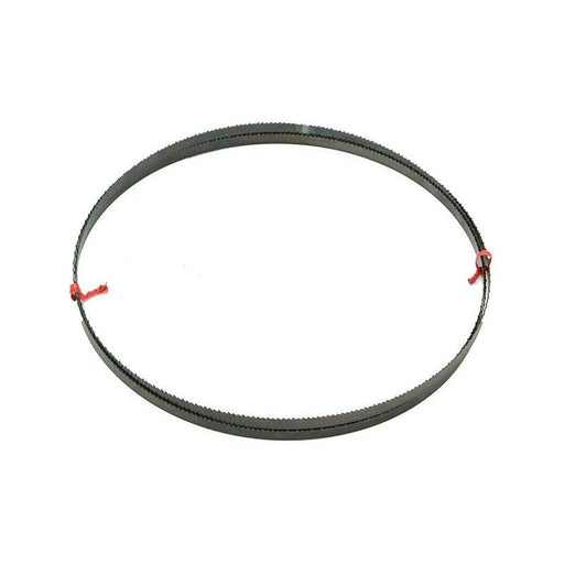 Dewalt Power Tools DT8481 General Purpose Bandsaw Blade 2095 x 12mm x 6 TPI