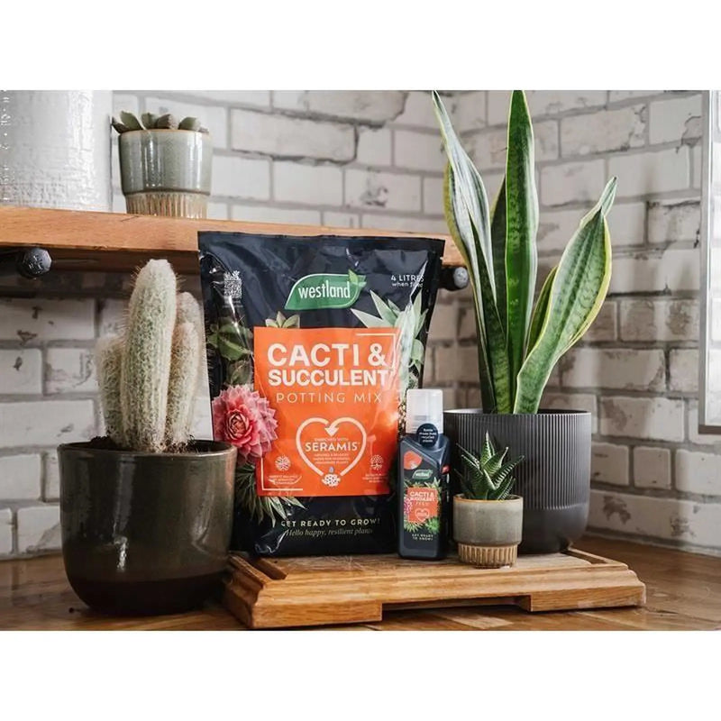 Westland Cacti & Succulent Potting Mix 4 litre