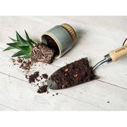 Westland Cacti & Succulent Potting Mix 4 litre