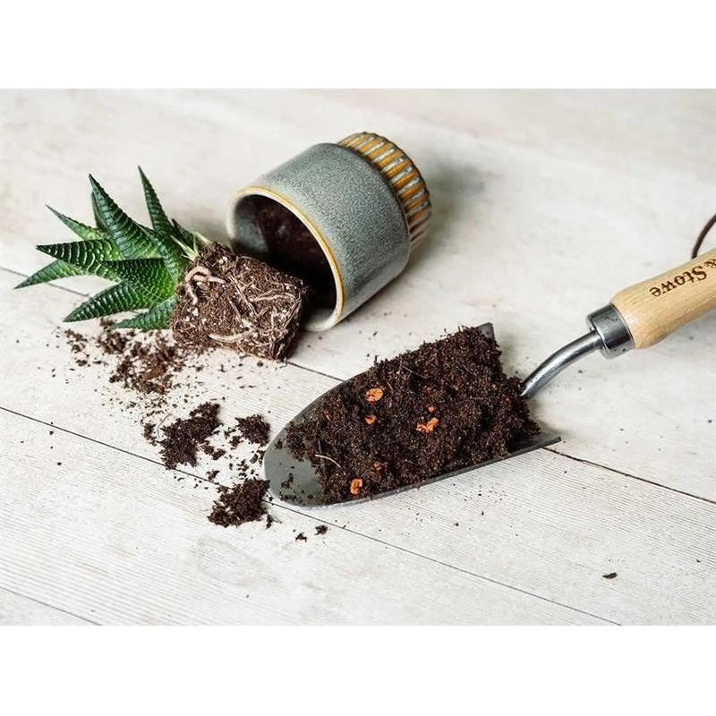 Westland Cacti & Succulent Potting Mix 4 litre