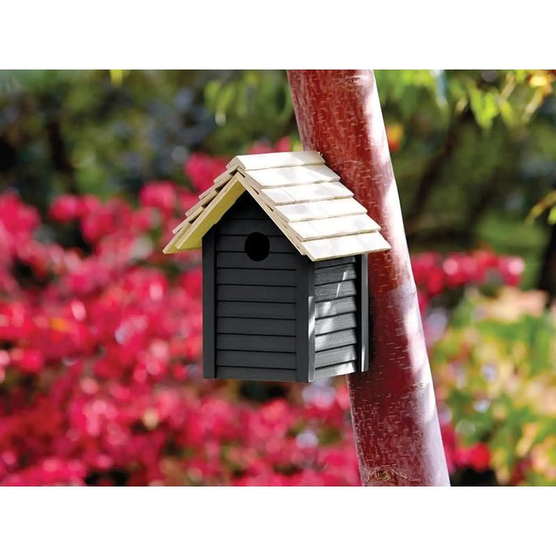 Ronseal Garden Paint Blackbird 250ml