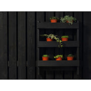 Ronseal Fence Life Plus+ Tudor Black Oak 5 litre