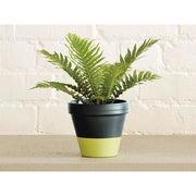 Ronseal Garden Paint Lime Zest 250ml