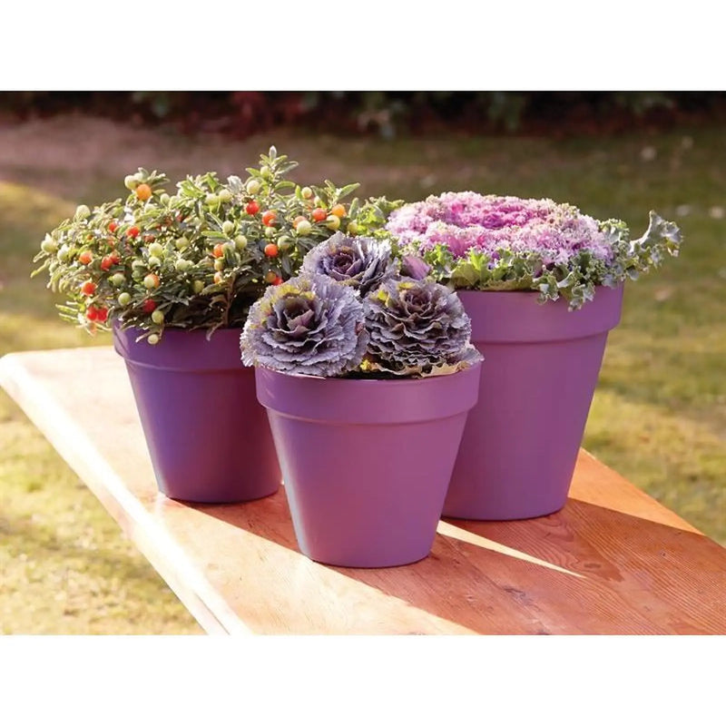 Ronseal Garden Paint Purple Berry 750ml