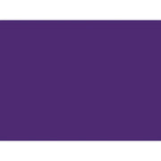 Shurtape Duck Tape® 48mm x 18.2m Purple