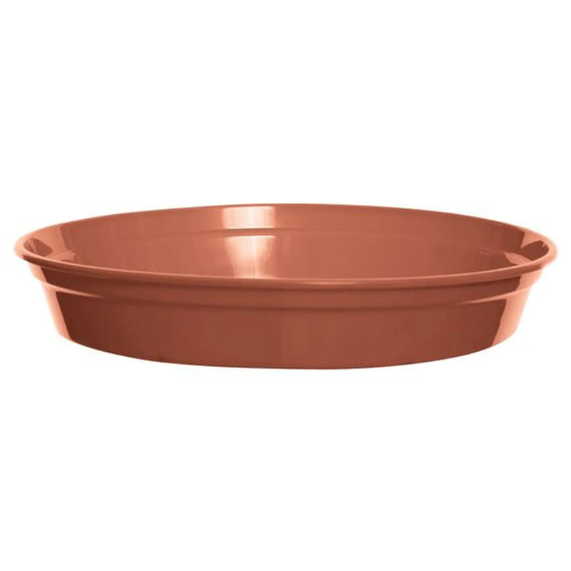whitefurze 10Inch Saucer