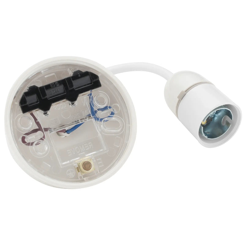 BG Electrical Ceiling Accessories - 6 flex and 3" base with decorators cover