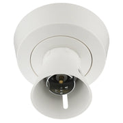 BG Electrical Ceiling Accessories - Enclosed, 2 terminal body, 3 terminals and earth in base, PVC tails, HO skirt