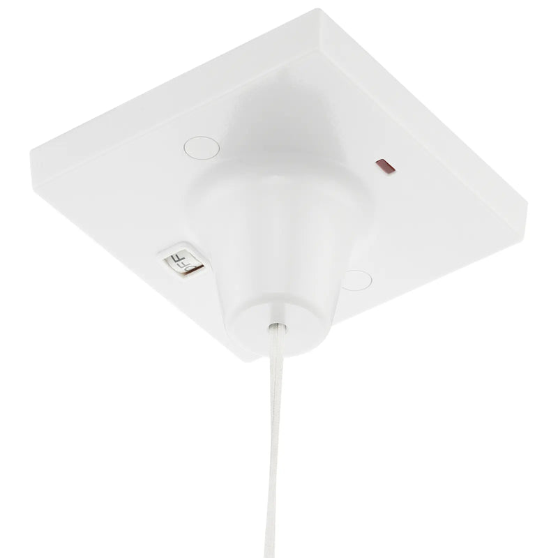 BG Electrical Ceiling Accessories - 50A double pole with indicator