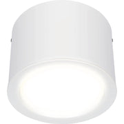 Luceco Platinum Surface downlight matt reflector 218mm 1200 lumen with DALI driver