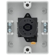 BG Circuit Protection Rotary Isolator 2 Pole - 20A, 2-Pole AC, Rotary Isolator