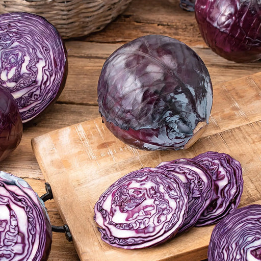 Kings Seeds Cabbage, Red Drumhead