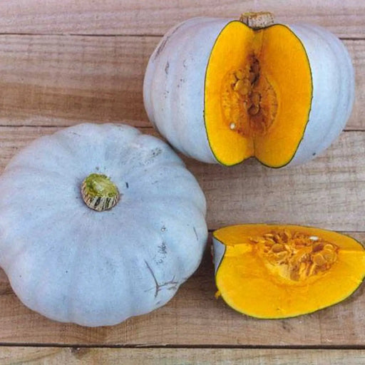 Kings Seeds Squash Crown Prince F1