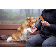 ROSEWOOD Chicken Fillet Strips Dog Treats Large