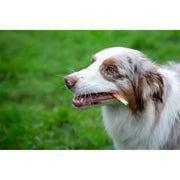 ROSEWOOD Chewy Sticks With Chicken Dog Treats 10 Piece