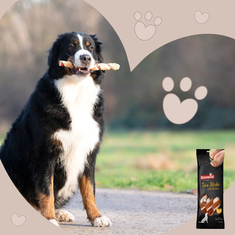 ROSEWOOD Trio Sticks With Chicken Dog Treats Large