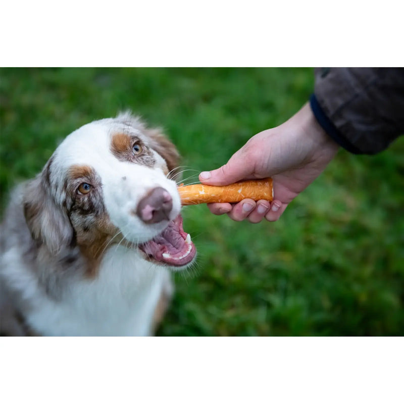 ROSEWOOD Chewy Sticks With Chicken 4 Piece Medium