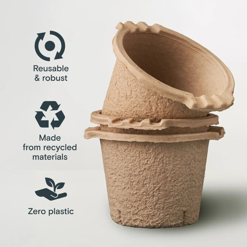 LickTools Eco Recycled Wood Pulp Paint Kettle 2.5L