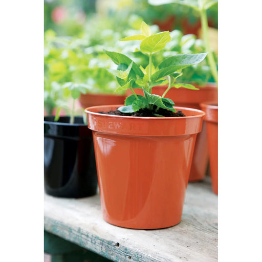 Stewart Flower Pot Terracotta 8"