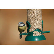 Rspb Sunflower Hearts 900g