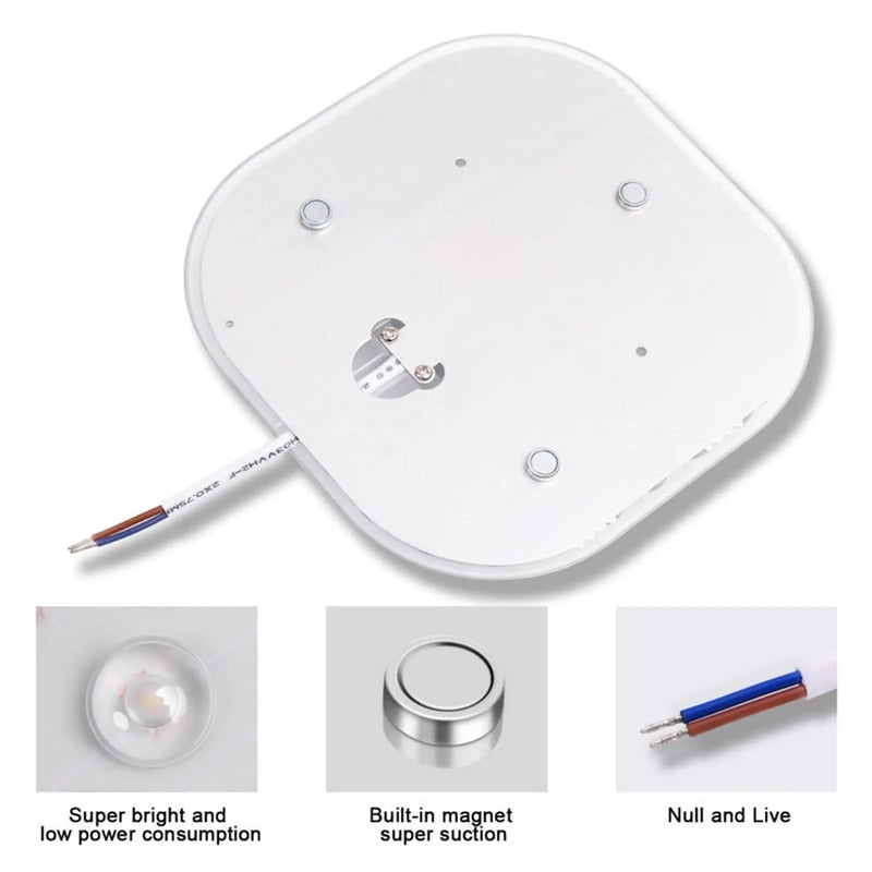 Extrastar Ceiling Light Module 2 D Fitting 24w