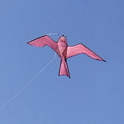 The Big Cheese Hawk Kite Bird Scarer