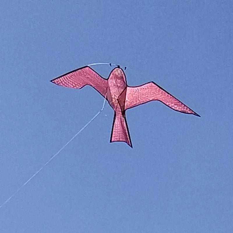 The Big Cheese Hawk Kite Bird Scarer