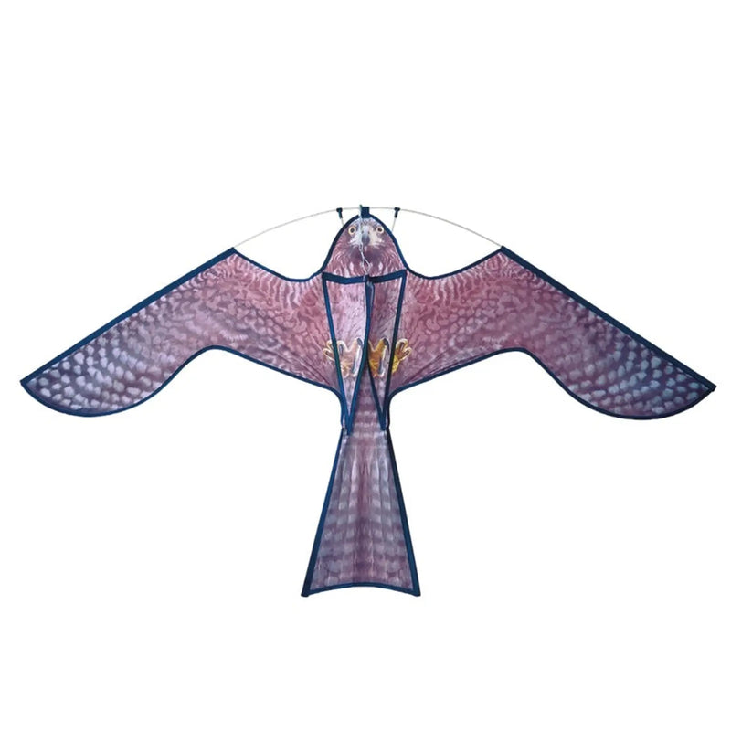 The Big Cheese Hawk Kite Bird Scarer