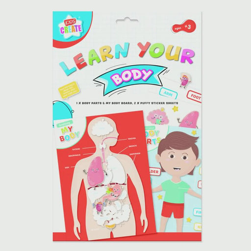 Stax I G Design Learn Your Body