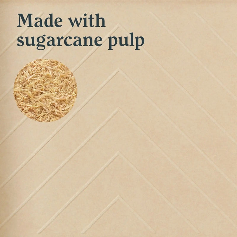LickTools Eco Bio-Degradable Sugar Cane Paint Tray 4"