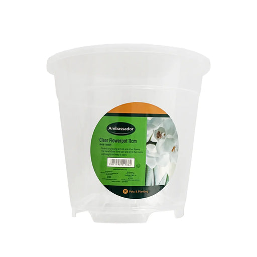 Ambassador Clear Flowerpot 11cm