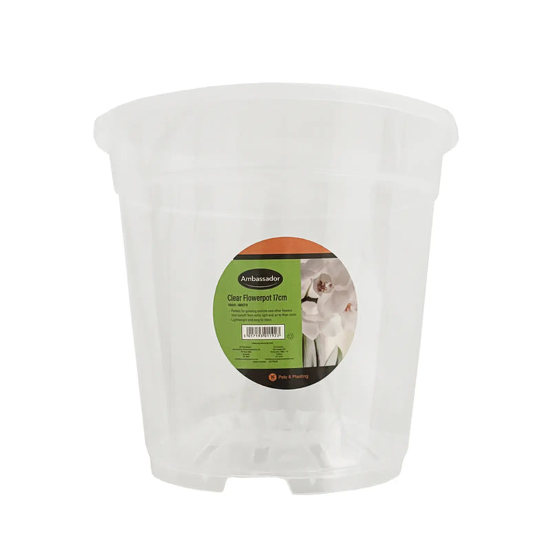 Ambassador Clear Flowerpot 17cm