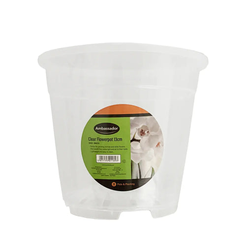 Ambassador Clear Flowerpot 13cm