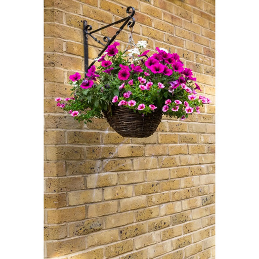 Ambassador Willow Hanging Basket 14"