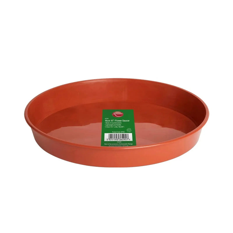 Ambassador Flower Pot Saucer 7 - 8" - Single