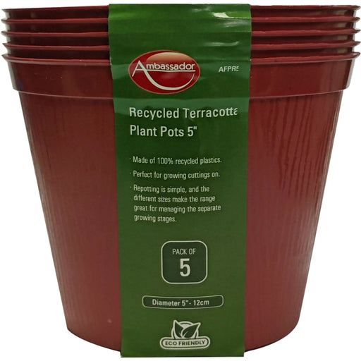 Ambassador Terracotta Plant Pots 5" Pack 5