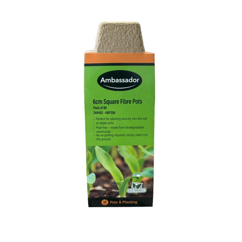 Ambassador Square Fibre Pots 6cm - Pack 80