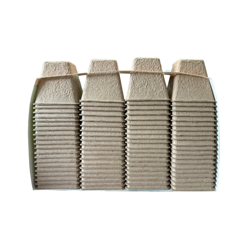 Ambassador Square Fibre Pots 6cm - Pack 80