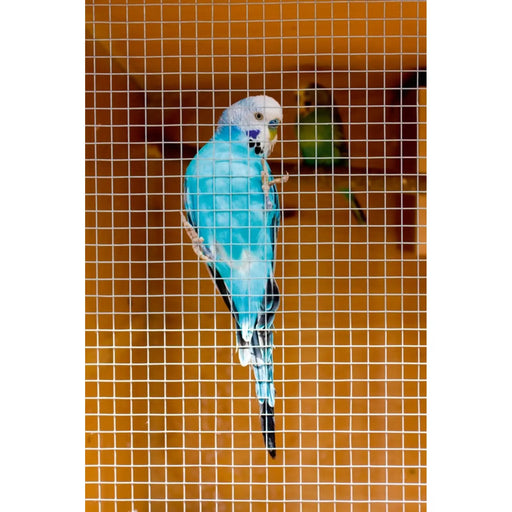 Ambassador Cage & Aviary Welded Panel 0.6 x 0.9m Mesh size: 13x13mm
