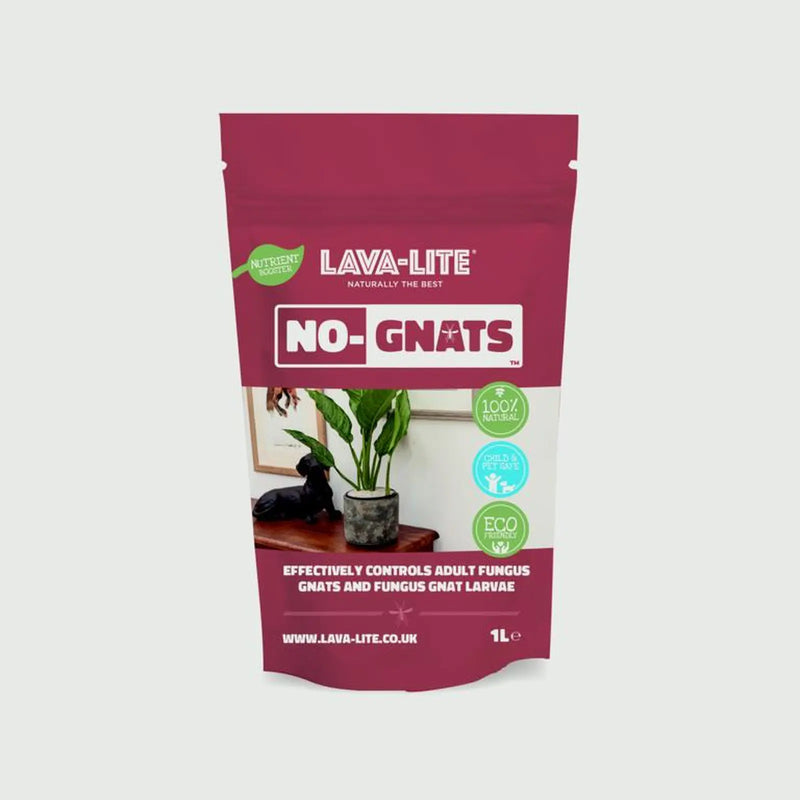 LAVA-LITE No Gnats Fungus Control 1L