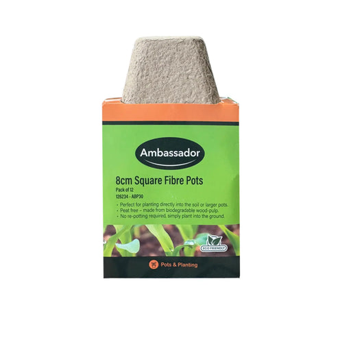Ambassador 8cm Square Fibre Pots Pack 12
