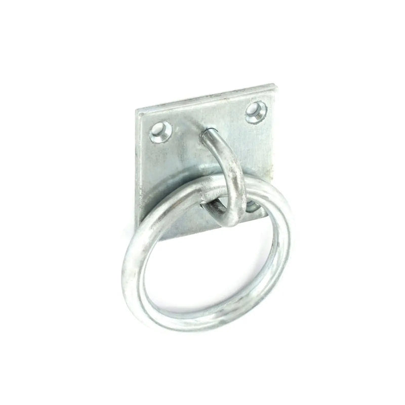 Securit Ring on Plate 50mm ZP
