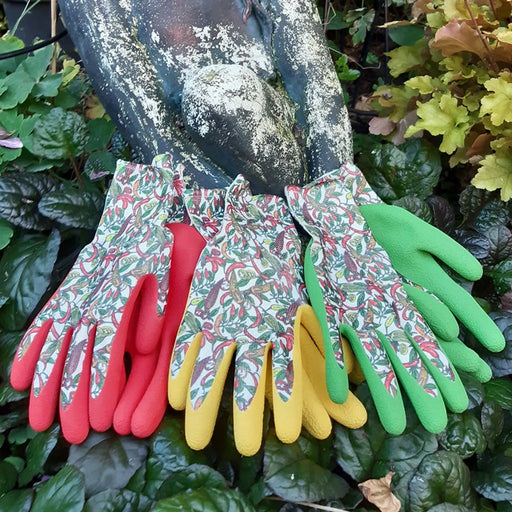 Stax Town & Country Ladies Chilli Gloves Triple Pack