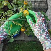 Stax Town & Country Ladies Chilli Gloves Triple Pack