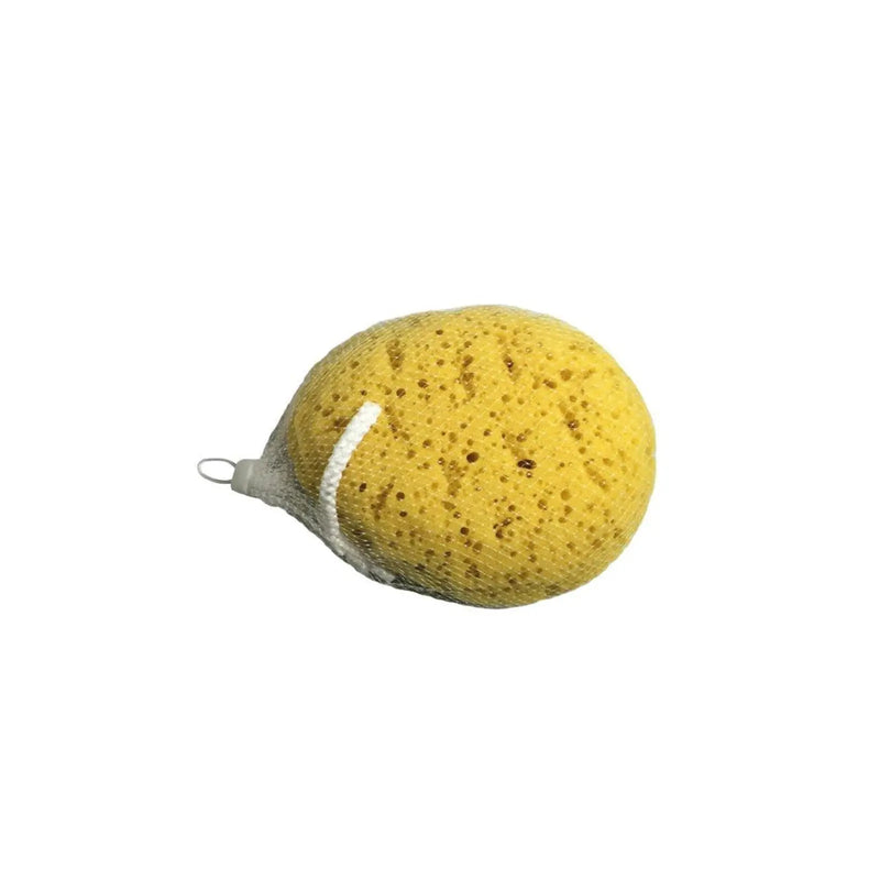 Blue Canyon Body Sponge Yellow
